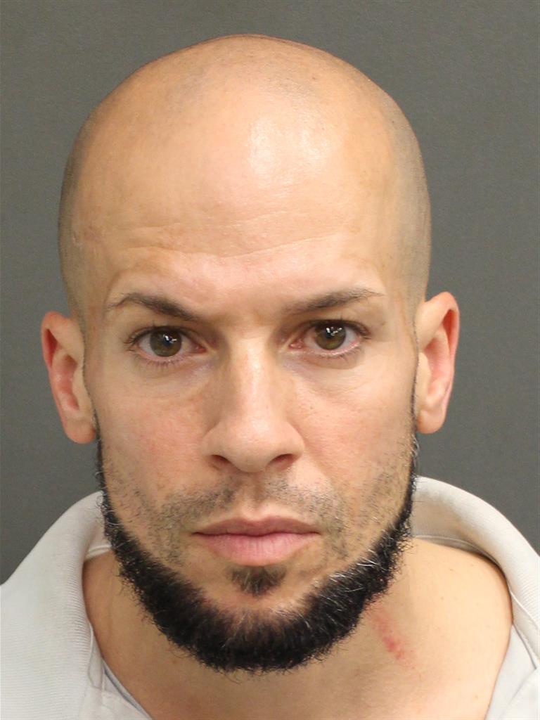  RUDOLPH PAUL VIOLA Mugshot / County Arrests / Orange County Arrests