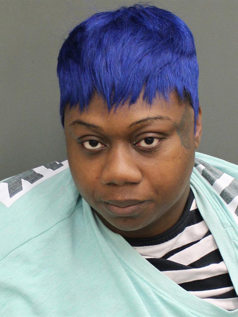  ALLISON QUINECE NORMAN Mugshot / County Arrests / Orange County Arrests