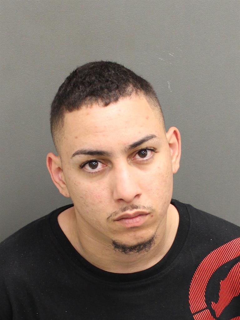  LUIS DAVID RIOSLOPEZ Mugshot / County Arrests / Orange County Arrests