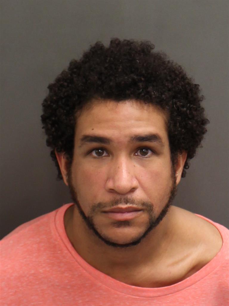  PEDRO PAULO DEOLIVEIRA Mugshot / County Arrests / Orange County Arrests
