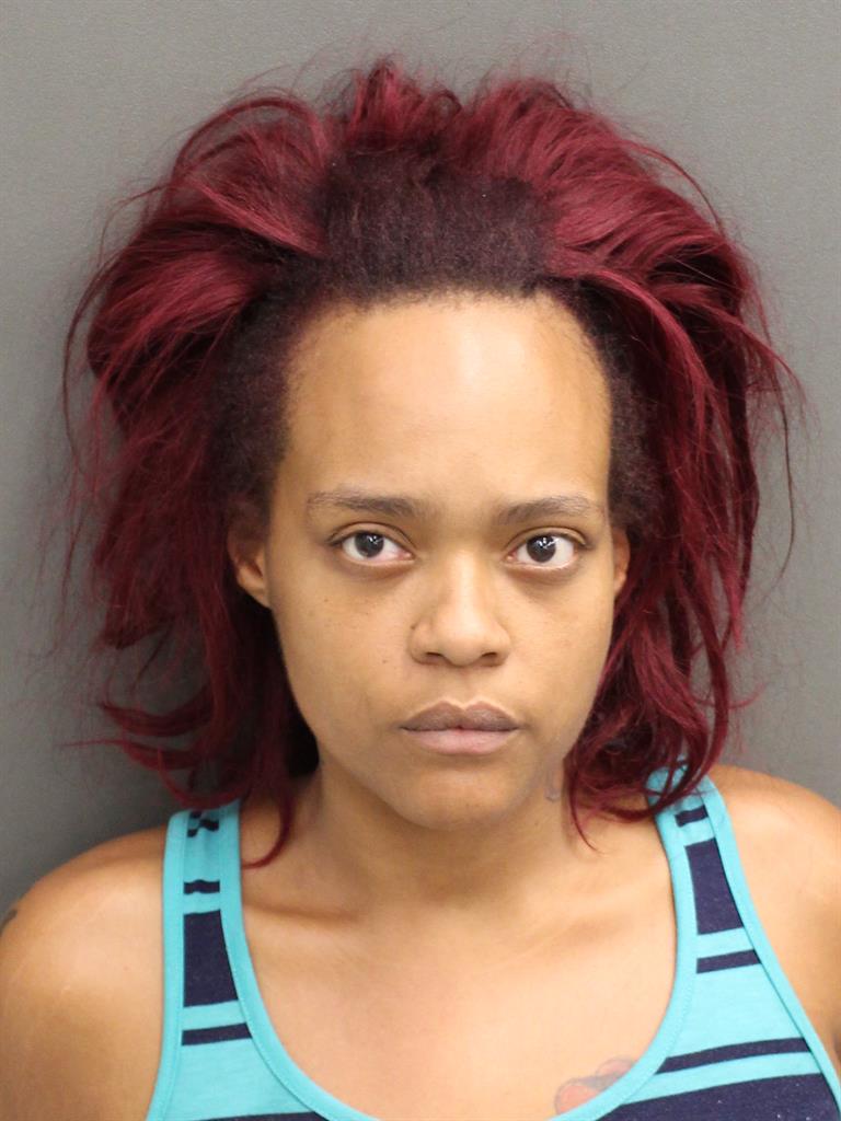  STARLEY SAMANTHA WRAY Mugshot / County Arrests / Orange County Arrests