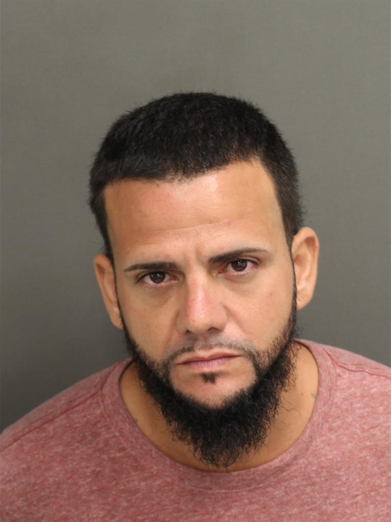  RAUL VILLARINI Mugshot / County Arrests / Orange County Arrests