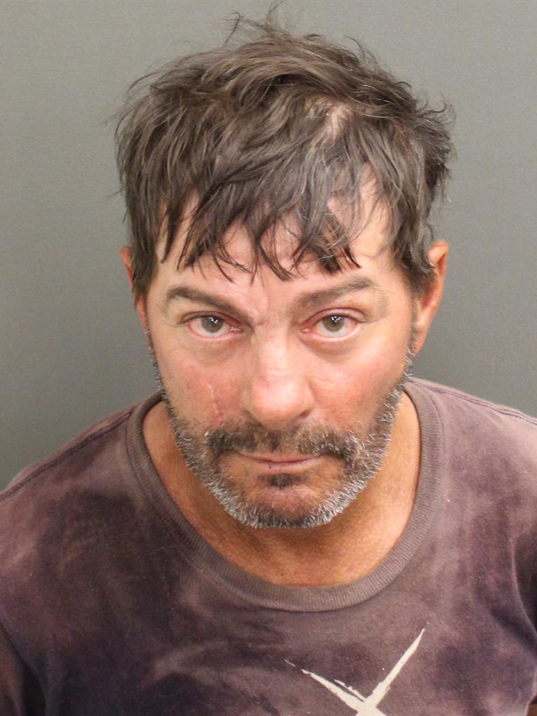  ROBIN SHANNON MCKNIGHT Mugshot / County Arrests / Orange County Arrests