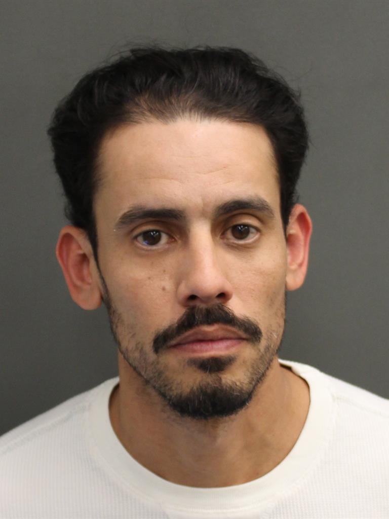  DAVID PAGAN Mugshot / County Arrests / Orange County Arrests