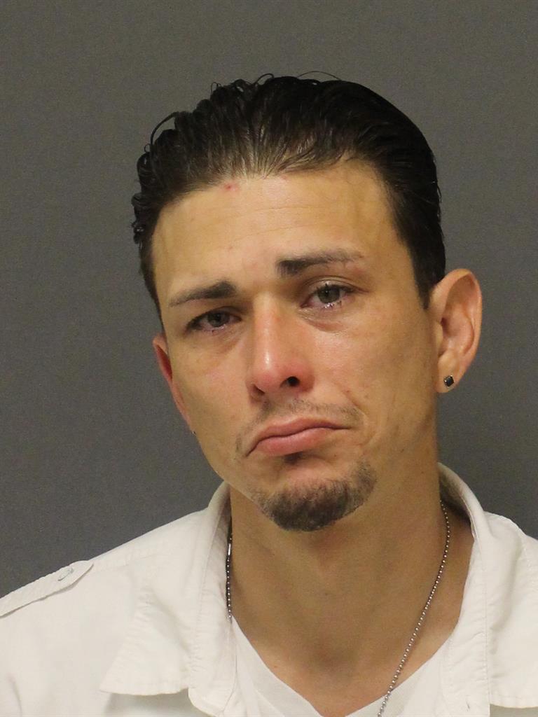  BRYAN ISMAEL ACEVEDO Photo Image