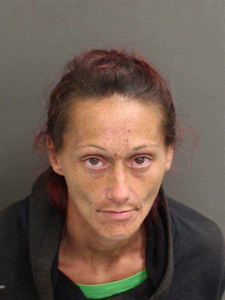  REBECCA ELIZABETH WELLS Mugshot / County Arrests / Orange County Arrests