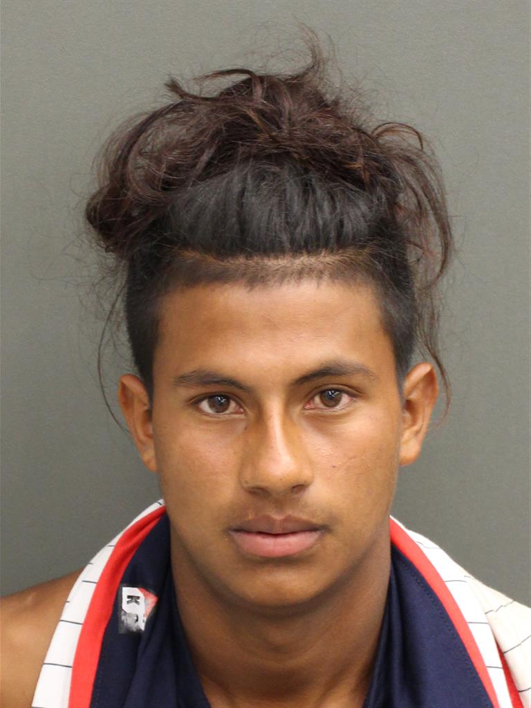  JOSE LUIS MEDINARAMOS Mugshot / County Arrests / Orange County Arrests