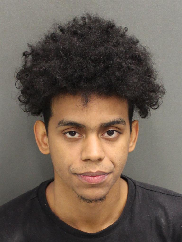  JULIO ANGEL JR PENA Mugshot / County Arrests / Orange County Arrests