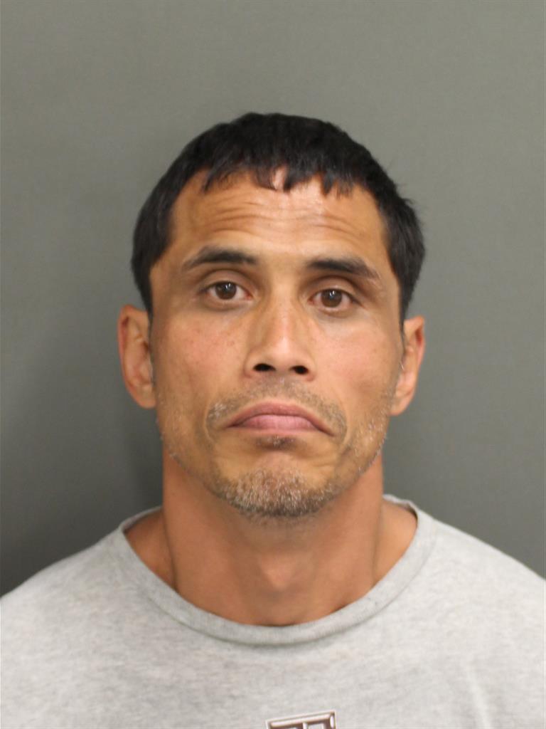  ANTHONY DOW UTU Photo Image