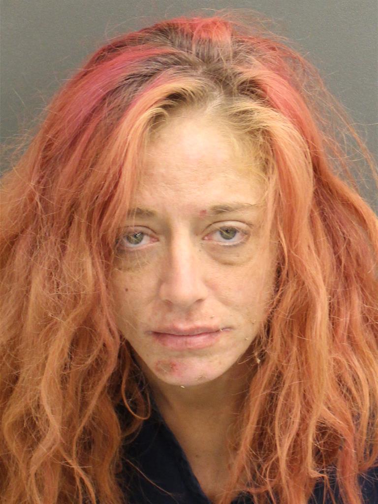  ASHLEY NICOLE INABNITT Mugshot / County Arrests / Orange County Arrests