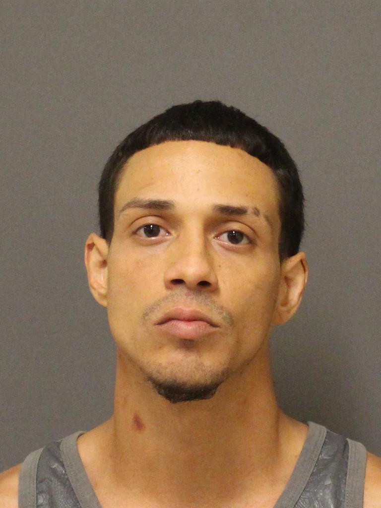  NELSON  JR VELEZ Mugshot / County Arrests / Orange County Arrests