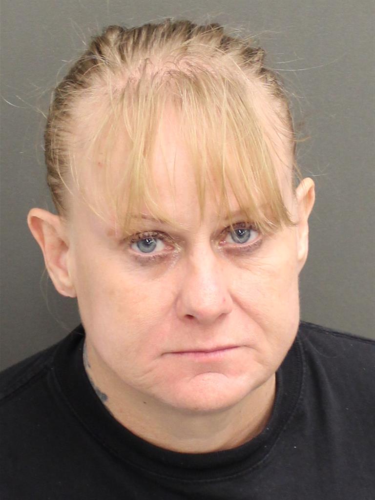  SARAH AMANDA JOHNSTON Mugshot / County Arrests / Orange County Arrests