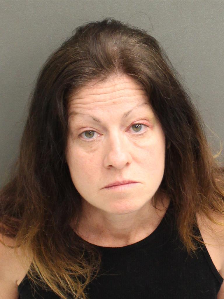 MISTY CAIN WELSH Mugshot / County Arrests / Orange County Arrests