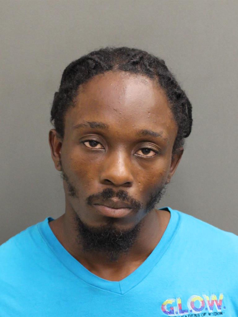  PATRICK ROBERT LESPINASSE Mugshot / County Arrests / Orange County Arrests