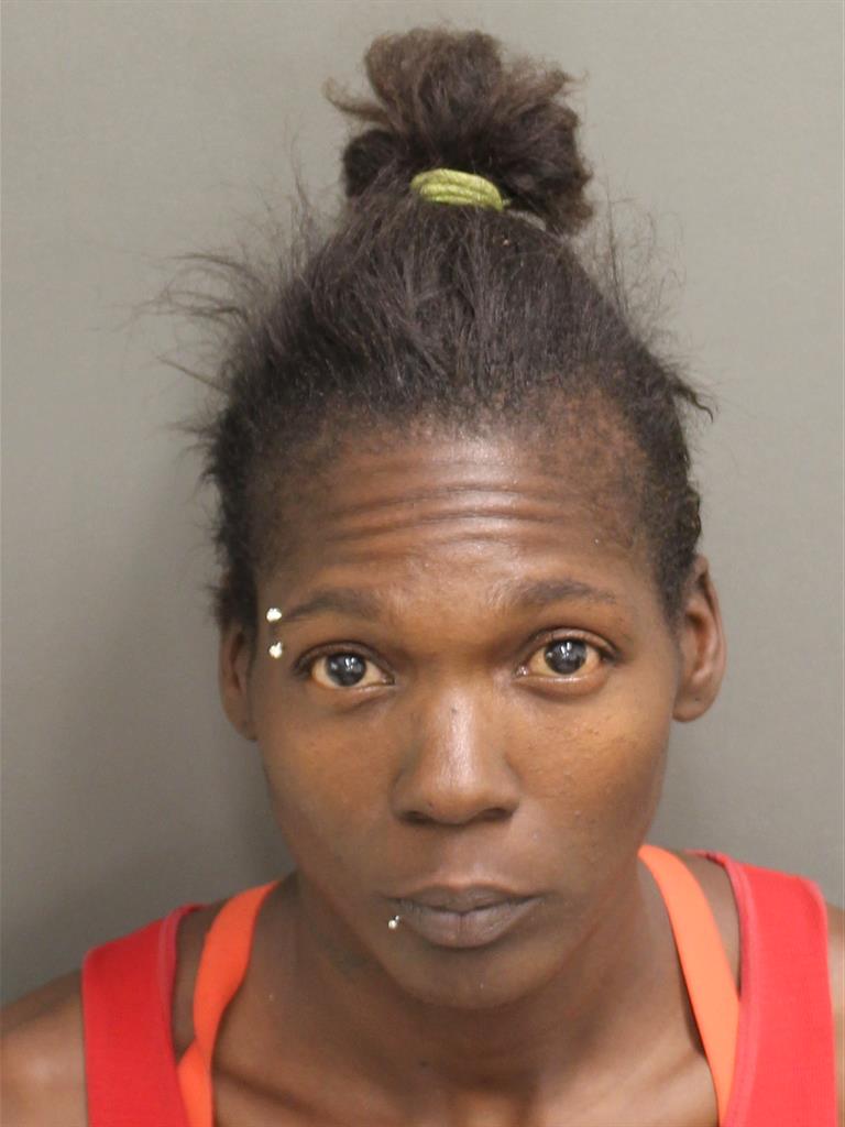  DENISE HOLLOMAN Mugshot / County Arrests / Orange County Arrests