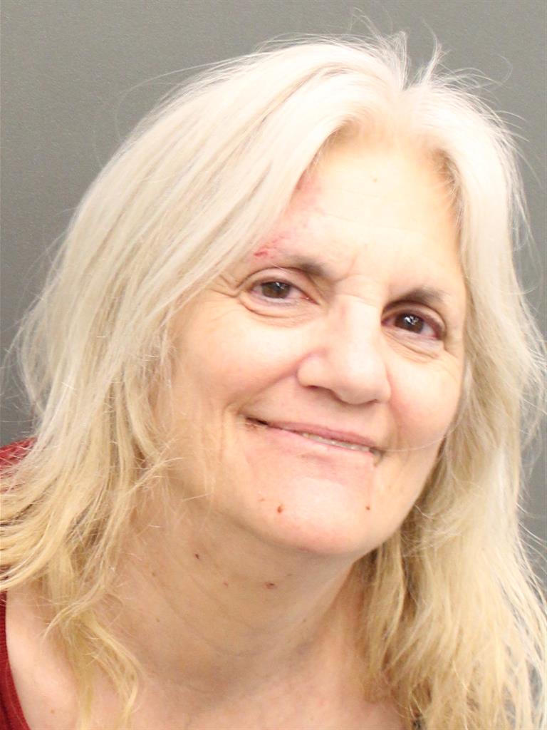  CYNTHIA ANNE FABRIZI Mugshot / County Arrests / Orange County Arrests