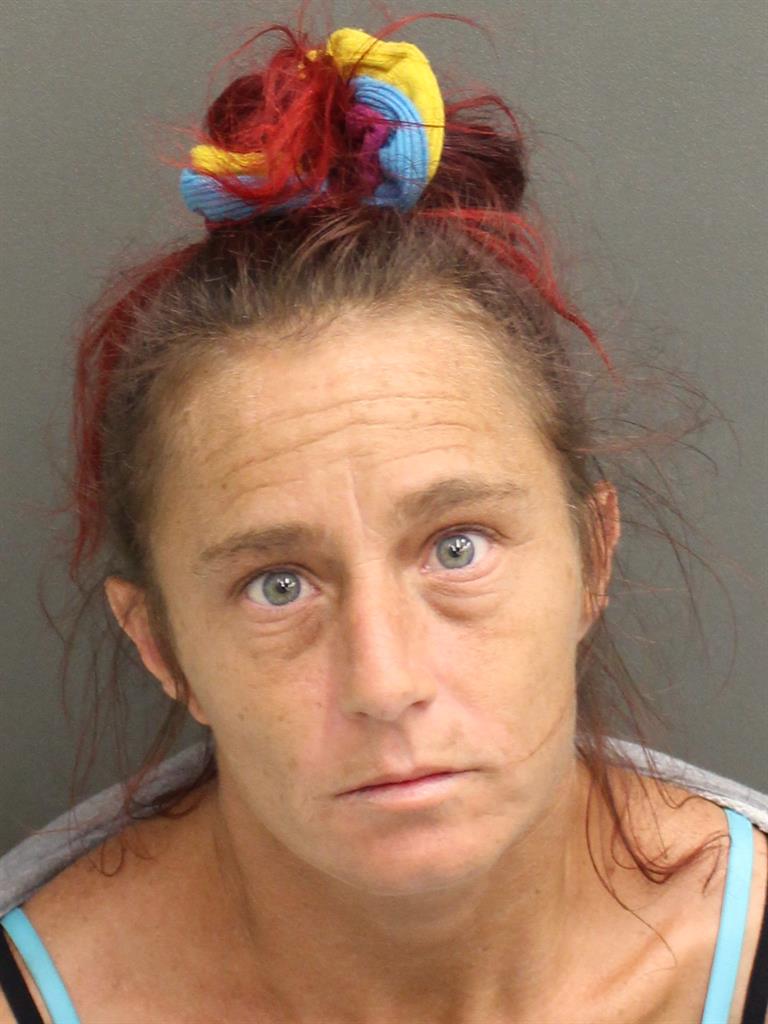  MARY ANN GOCHANOUR Mugshot / County Arrests / Orange County Arrests