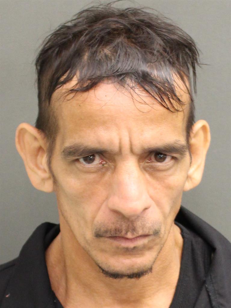  LUIS ENRIQUE FEBO Mugshot / County Arrests / Orange County Arrests