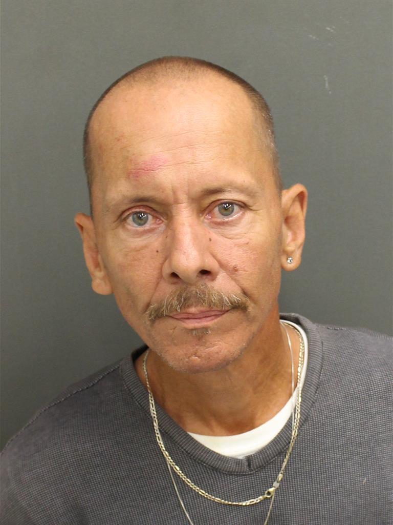  CARLOS ALBERTO GALLEGO Mugshot / County Arrests / Orange County Arrests