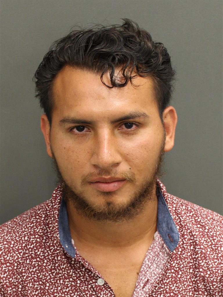  DILBER JAVIER VILLALOBOSTEJADA Mugshot / County Arrests / Orange County Arrests
