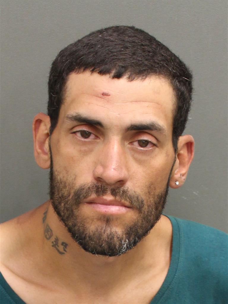  RONALD MARSHALL LONGORIA Mugshot / County Arrests / Orange County Arrests