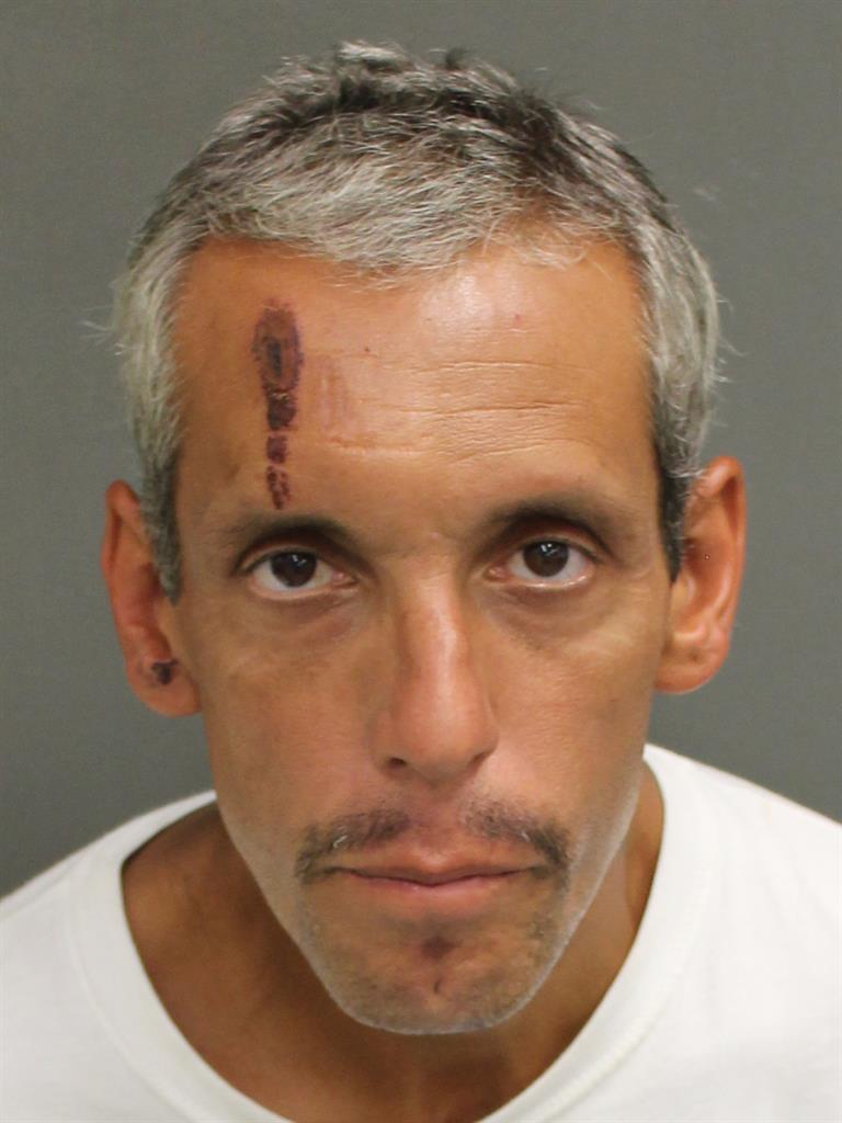  PETER JOHN VECCIA Mugshot / County Arrests / Orange County Arrests