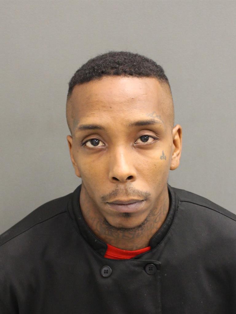  JOSEPH FLEMING Mugshot / County Arrests / Orange County Arrests