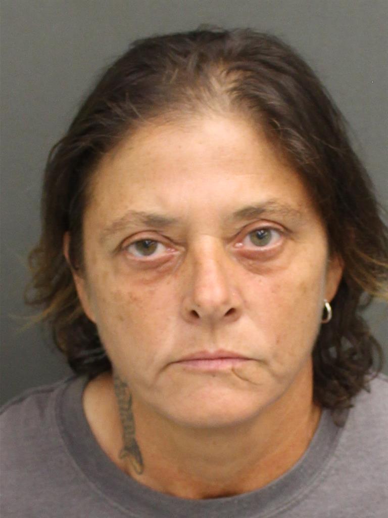  SHERRIE LYNN SLOANE Mugshot / County Arrests / Orange County Arrests