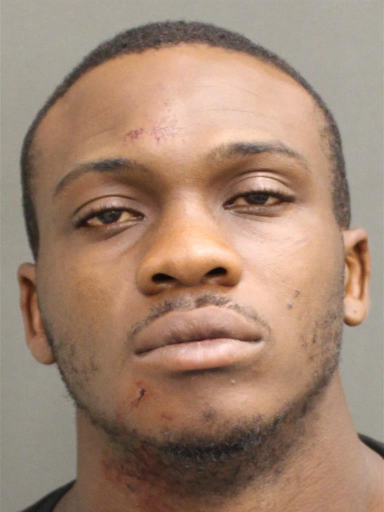  HEDRIDGE KELLYTED JOHN Mugshot / County Arrests / Orange County Arrests