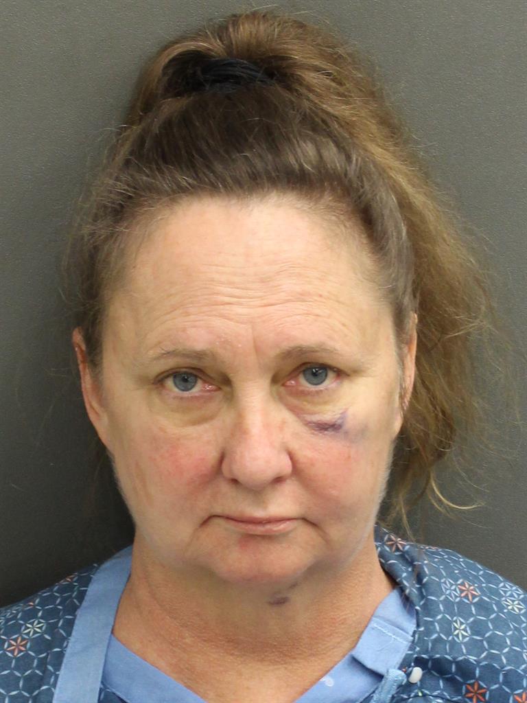  LISA SUE CARL Mugshot / County Arrests / Orange County Arrests