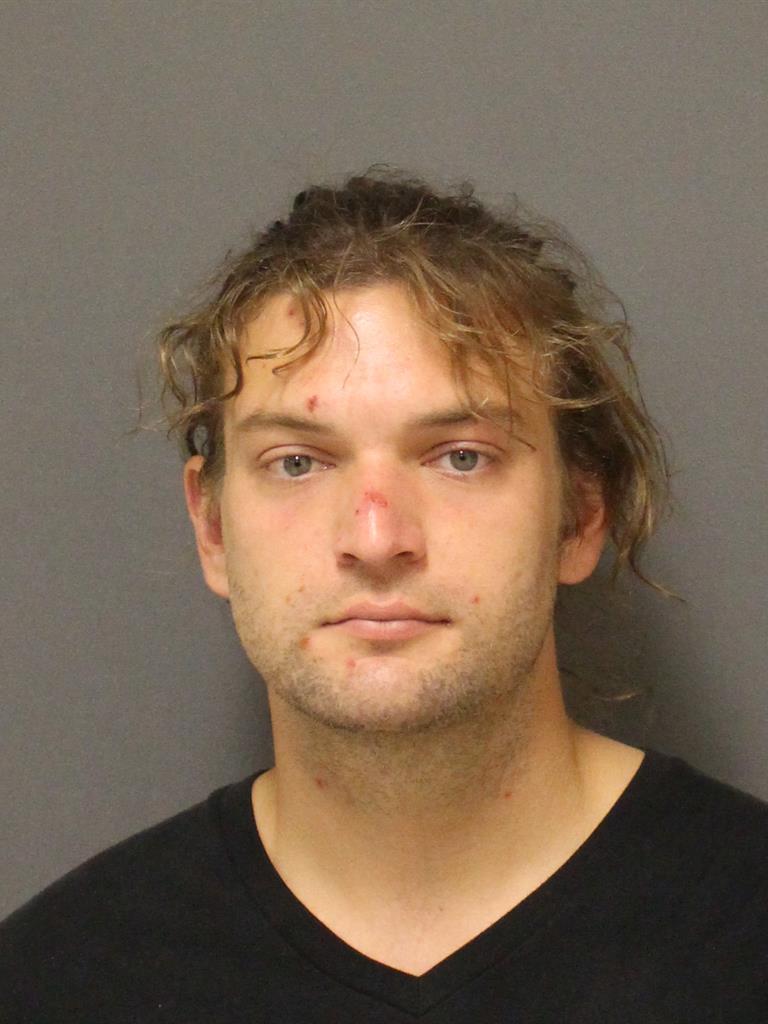  TYLER ANDREW GREEN Mugshot / County Arrests / Orange County Arrests