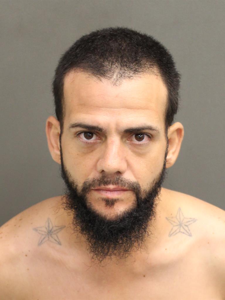  RAUL VILLARINI Mugshot / County Arrests / Orange County Arrests