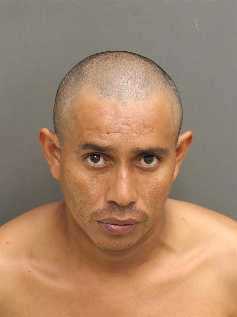  ROSER OSMIN CARCAMOOSEGUERA Mugshot / County Arrests / Orange County Arrests