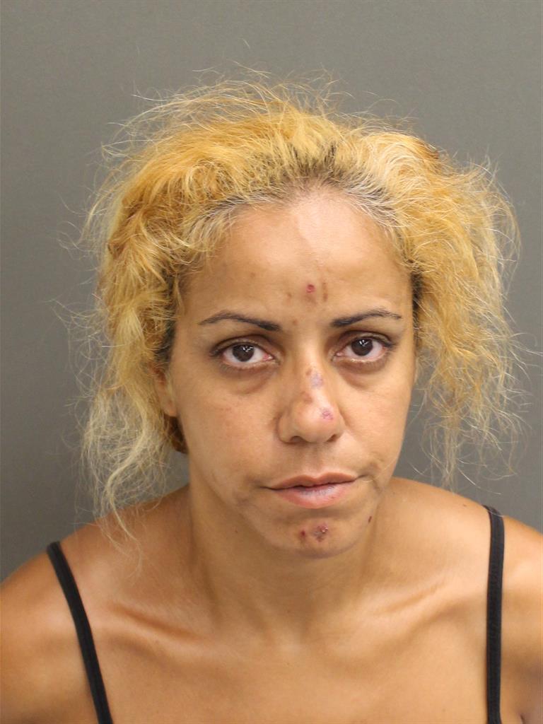  IRENE FLORES Mugshot / County Arrests / Orange County Arrests