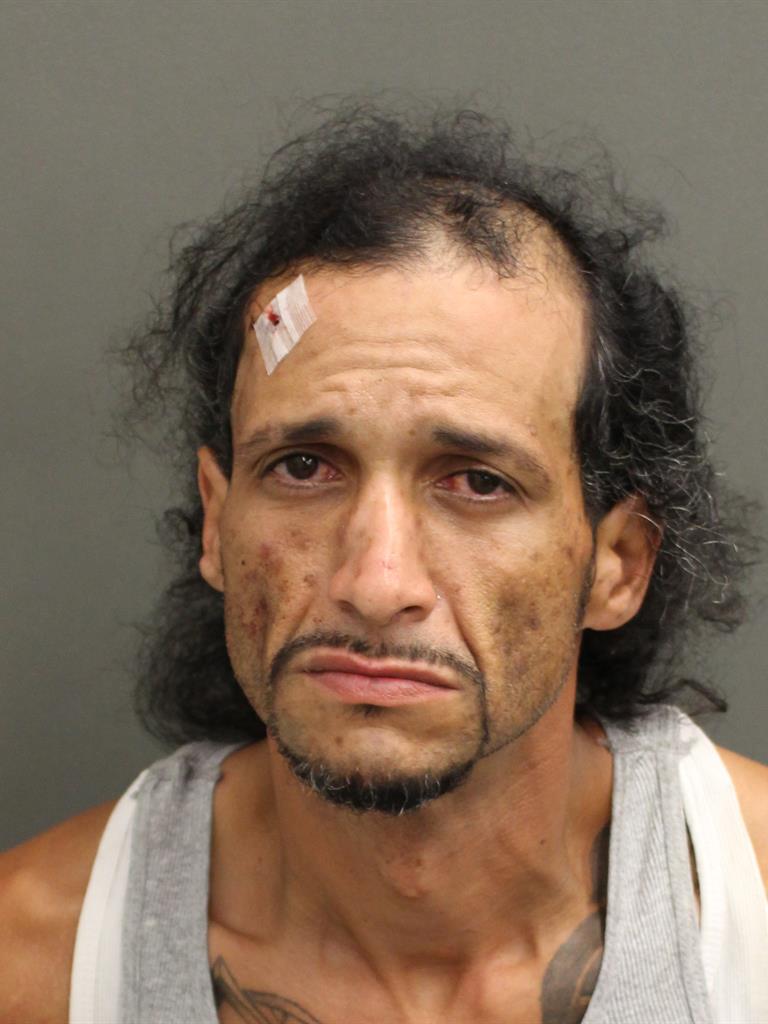  JOHANNES GONZALEZ MURPHY Mugshot / County Arrests / Orange County Arrests