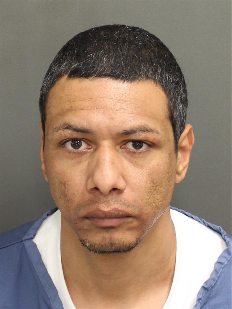  JOSE  JR ORTEGA Mugshot / County Arrests / Orange County Arrests