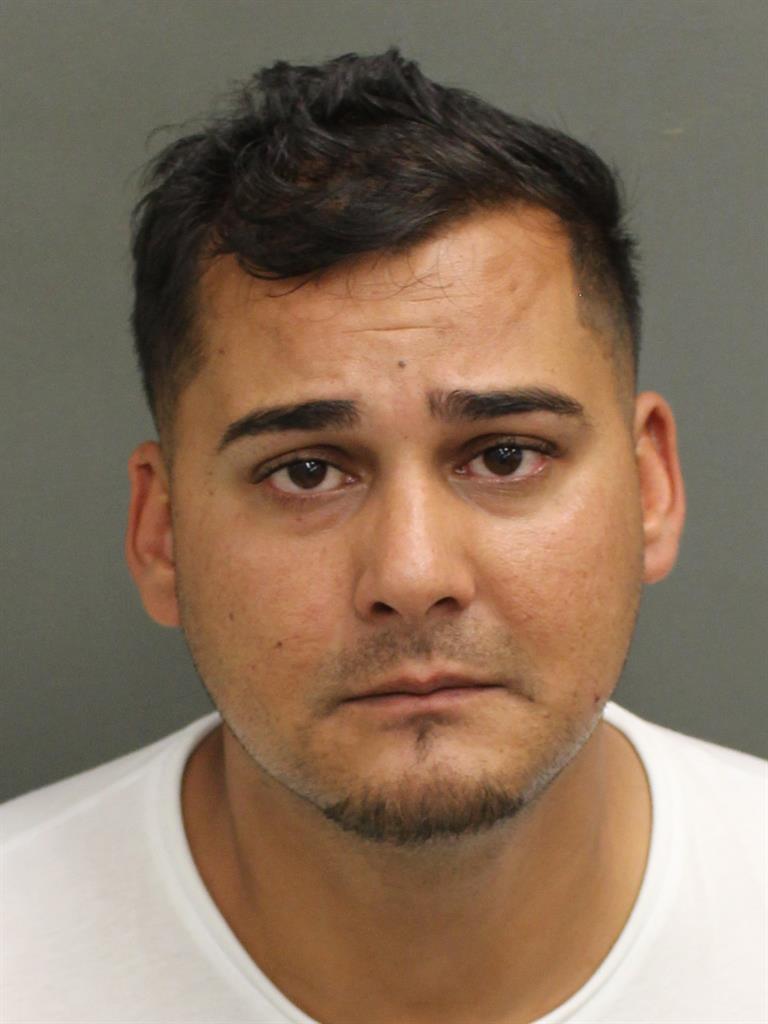  NARCIS CHICIU Mugshot / County Arrests / Orange County Arrests