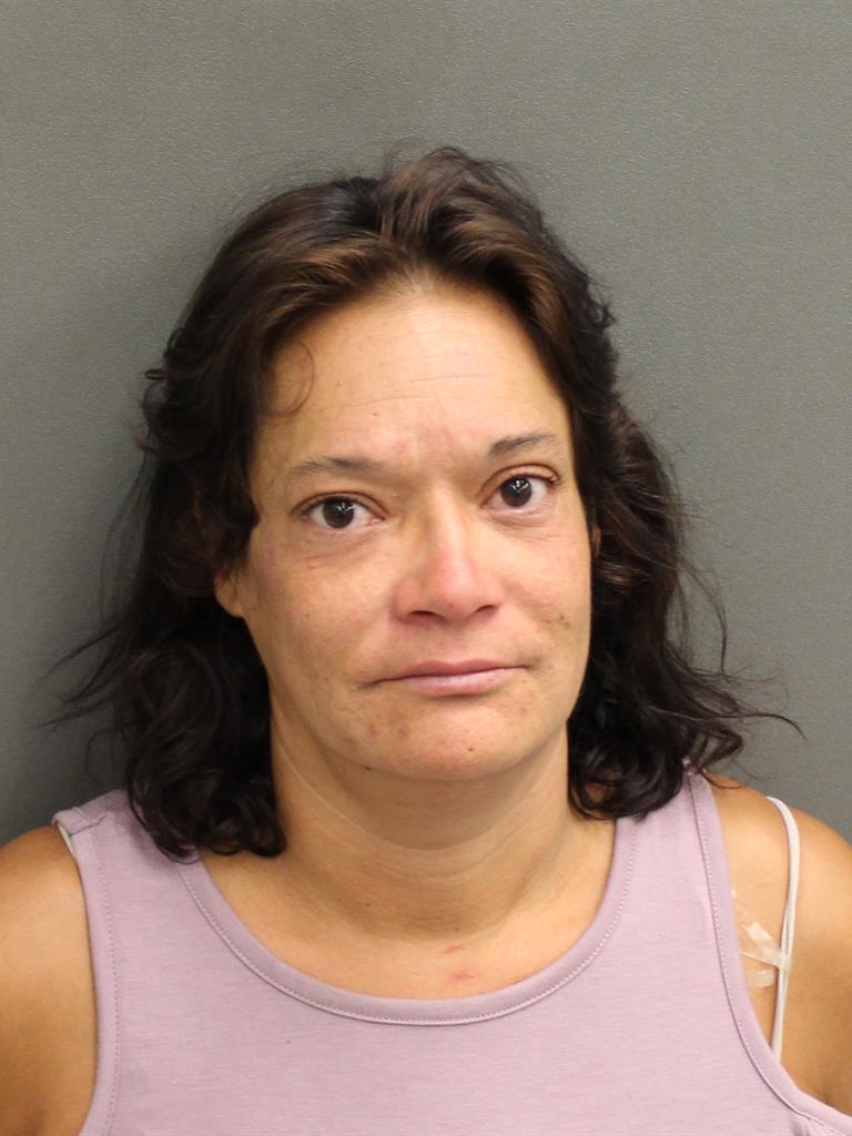 LAIDA BEAUDIN Mugshot / County Arrests / Orange County Arrests