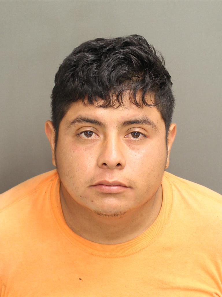  GERARDO RAMIREZFLORES Mugshot / County Arrests / Orange County Arrests
