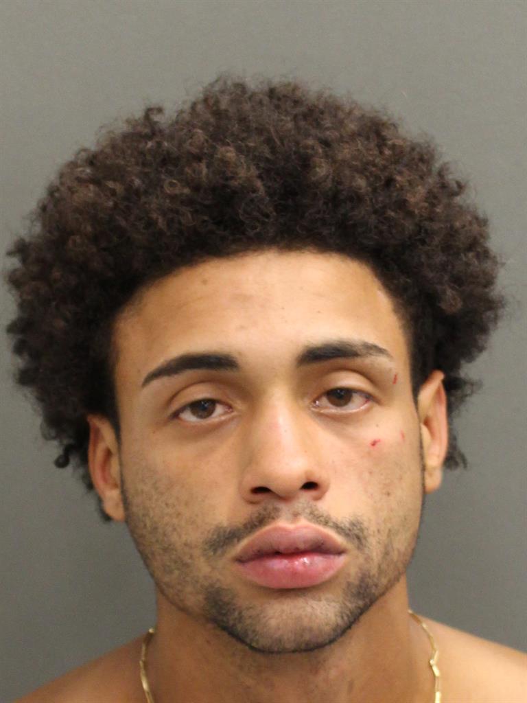 JAVIER RIPOLL Mugshot / County Arrests / Orange County Arrests