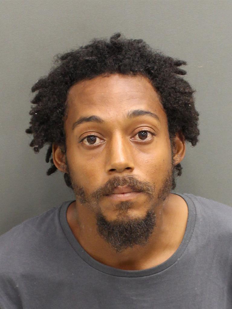  GREYVILLE LIBURD Mugshot / County Arrests / Orange County Arrests