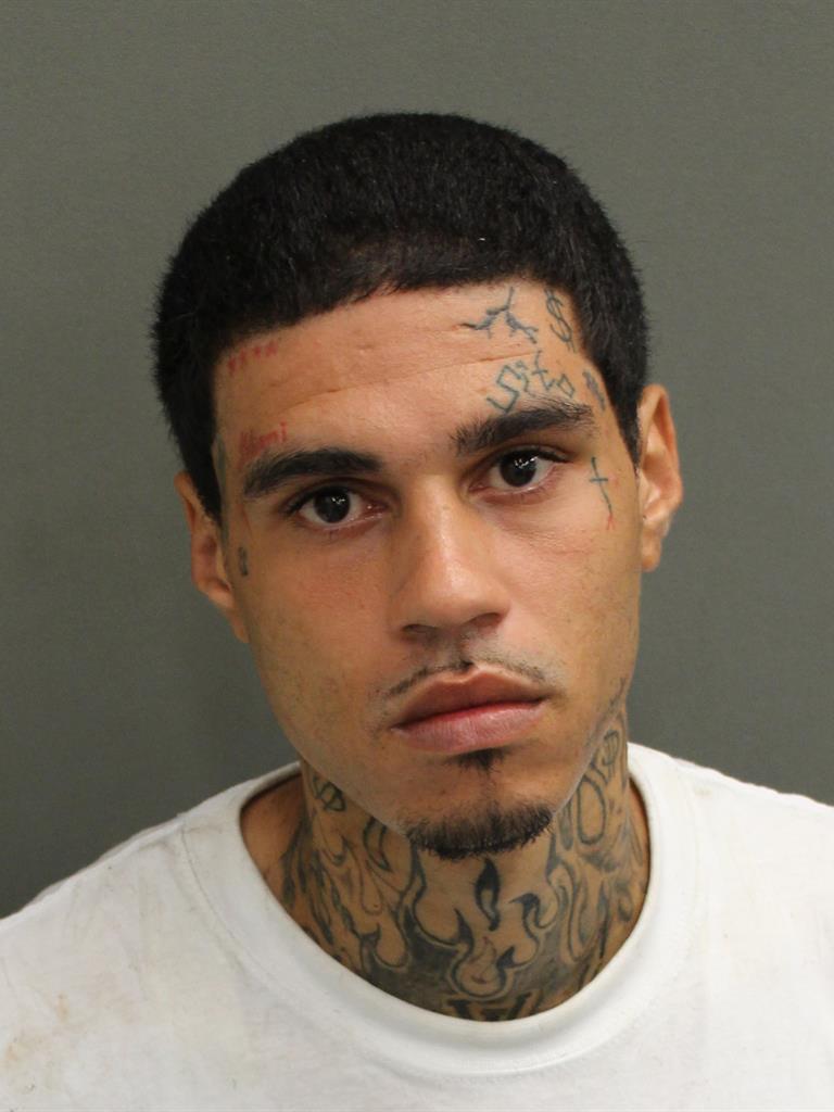  LUIS ANTONIO JR PEREZ Mugshot / County Arrests / Orange County Arrests