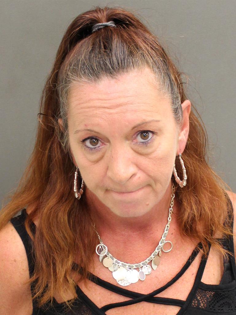  DEBORAH JANE VINCENT Mugshot / County Arrests / Orange County Arrests