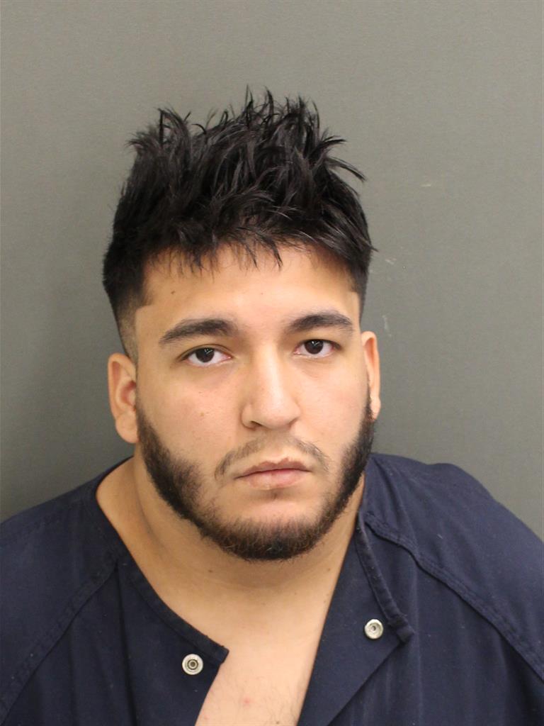  JOSEPH LORETO Mugshot / County Arrests / Orange County Arrests
