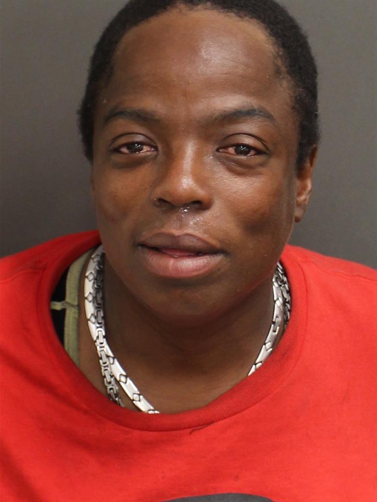  LAURA INGRAM Mugshot / County Arrests / Orange County Arrests