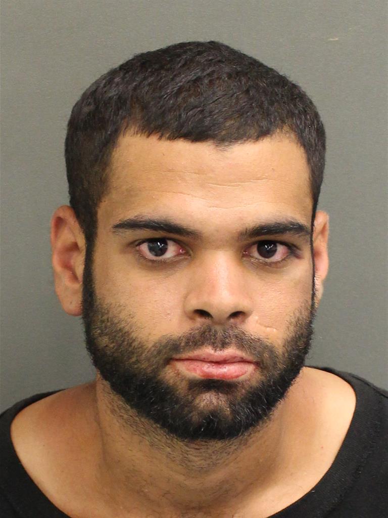  RAFAEL A CASTILLO Mugshot / County Arrests / Orange County Arrests