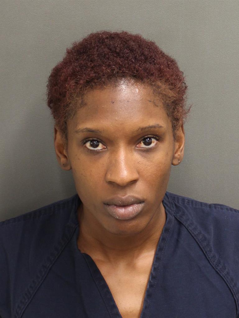  SIERRA BOYKIN Mugshot / County Arrests / Orange County Arrests
