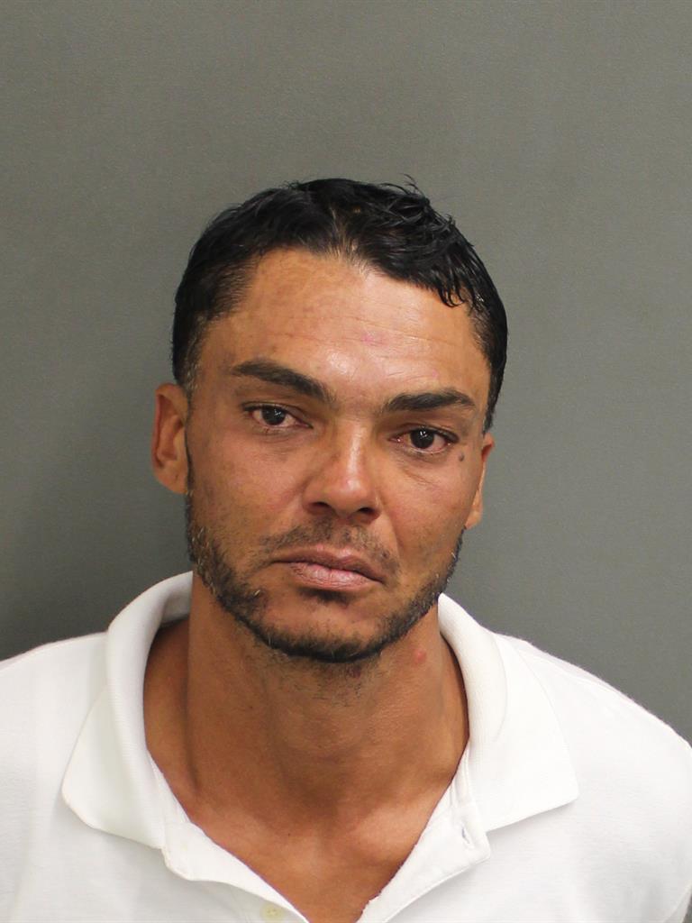  LUIS ENRIQUE SANTIAGOANDINO Mugshot / County Arrests / Orange County Arrests