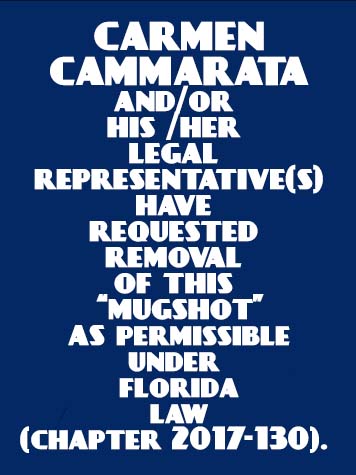  CARMEN CAMMARATA Mugshot / County Arrests / Orange County Arrests