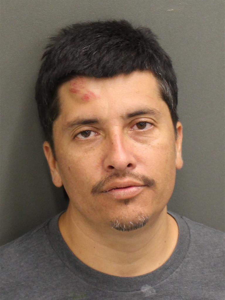  JAMIE ROTGER Photo Image